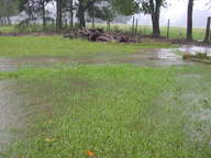 dscn3129_thumb.jpg