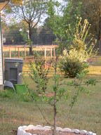 dscn3523_thumb.jpg