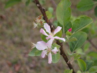 dscn3526_thumb.jpg