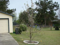 house2_thumb.jpg