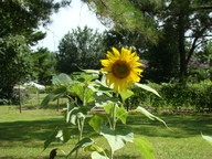 dsc00764_thumb.jpg