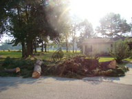 dsc01108_thumb.jpg