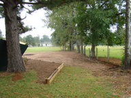 dsc01130_thumb.jpg