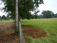 dsc01131_thumb.jpg