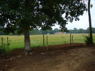 dsc01133_thumb.jpg