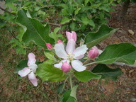 dsc01947_thumb.jpg
