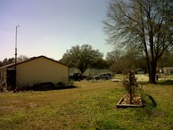 img00004-20100316-1434_thumb.jpg