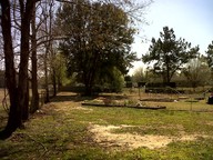 img00006-20100316-1434_thumb.jpg