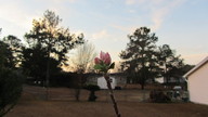 ap4_2012_1_thumb.jpg