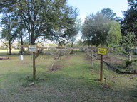img_3634_thumb.jpg