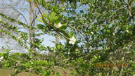 img_2253_thumb.jpg