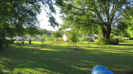 img_1195_thumb.jpg