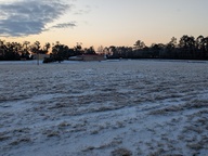 PXL_20250122_124214981_thumb.jpg
