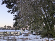 PXL_20250122_124249437_thumb.jpg