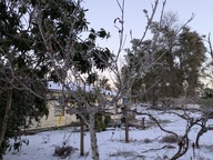 PXL_20250122_124324371_thumb.jpg