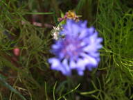 dscn2310_thumb.jpg