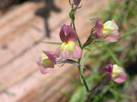dscn2312_thumb.jpg