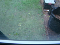 dsc00991_thumb.jpg