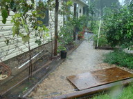 dsc01001_thumb.jpg