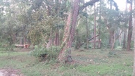 20160907_073630_thumb.jpg