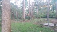 20160907_073636_thumb.jpg