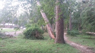 20160907_073653_thumb.jpg