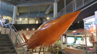 img_2975_thumb.jpg