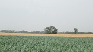 img_2988_thumb.jpg