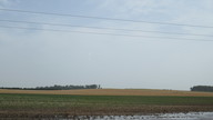 img_2989_thumb.jpg