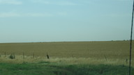 img_2993_thumb.jpg