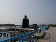 nautilus2_thumb.jpg