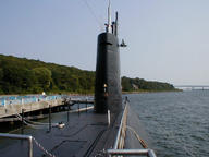 nautilus3_thumb.jpg