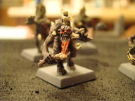 dsc02129_thumb.jpg