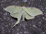 dscn1520_thumb.jpg