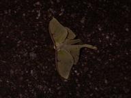 dscn1530_thumb.jpg