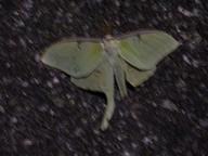 dscn1531_thumb.jpg