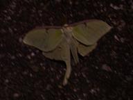 dscn1532_thumb.jpg