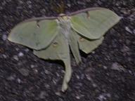 dscn1534_thumb.jpg