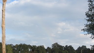 img_3304_thumb.jpg