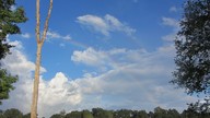 img_3306_thumb.jpg