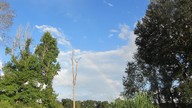 img_3309_thumb.jpg