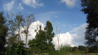 img_3323_thumb.jpg