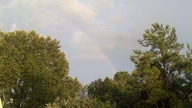 20140703_201252_thumb.jpg