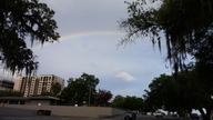 20150611_075118_thumb.jpg