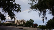 20150611_075139_thumb.jpg