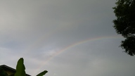 20150630_073428_thumb.jpg