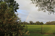 img_9704_thumb.jpg
