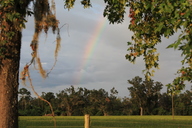 img_9710_thumb.jpg