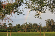 img_9711_thumb.jpg