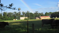 img_3502_thumb.jpg